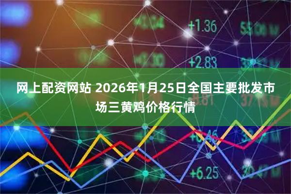 网上配资网站 2026年1月25日全国主要批发市场三黄鸡价格行情